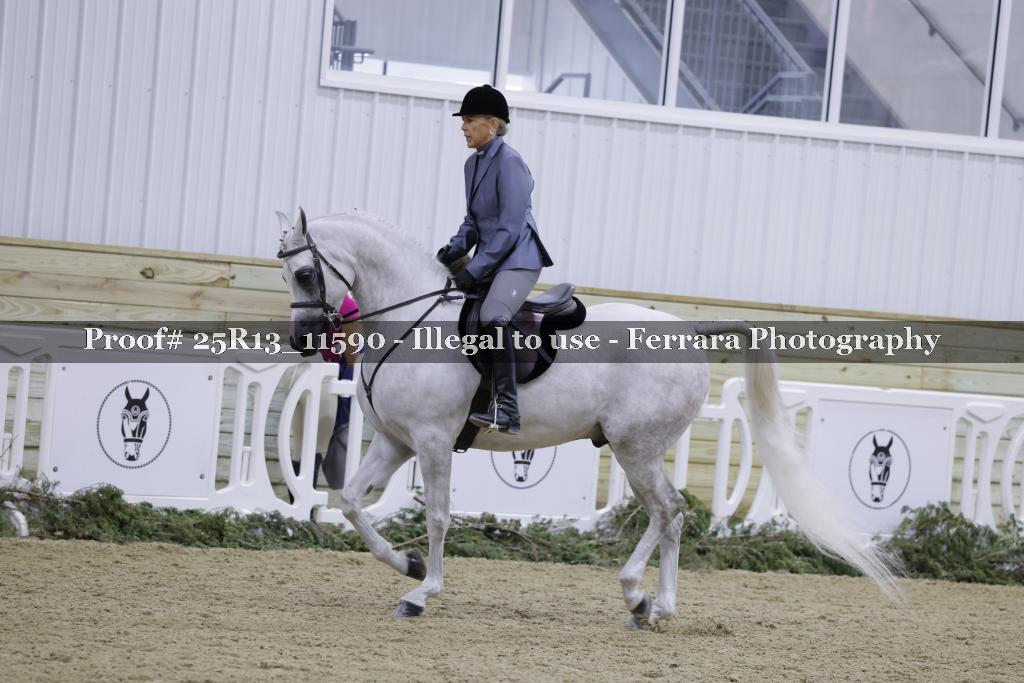 Proof 25R13_11590