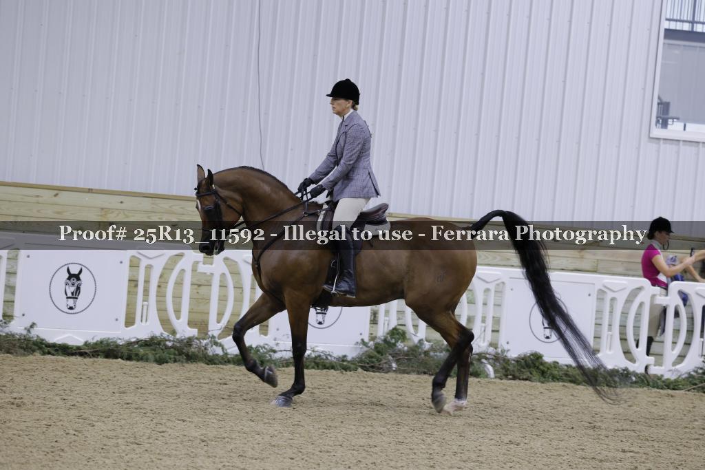 Proof 25R13_11592