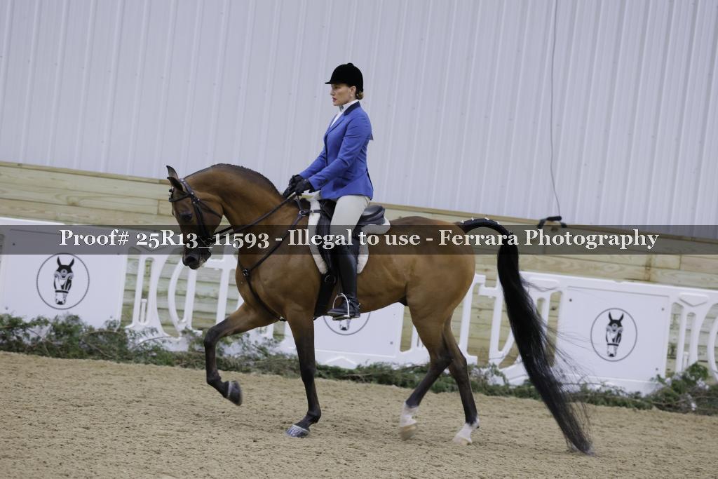 Proof 25R13_11593