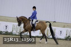25R13_11593 proof