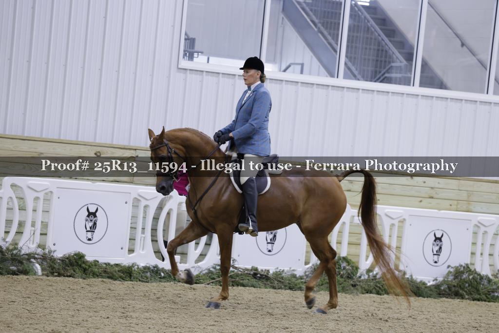 Proof 25R13_11594