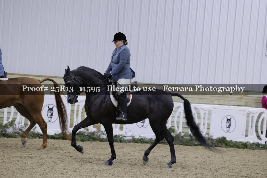 Proof 25R13_11595