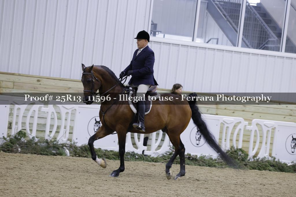 Proof 25R13_11596