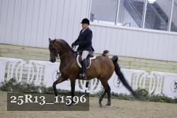 25R13_11596 proof