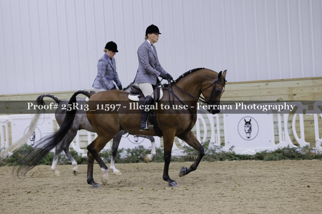 Proof 25R13_11597