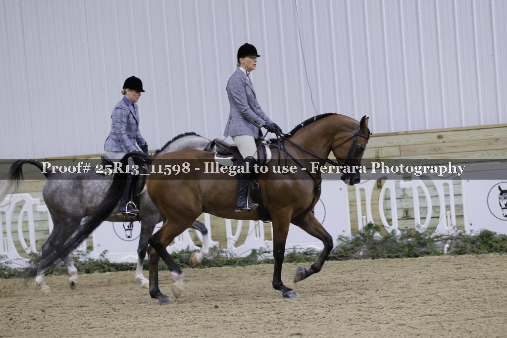 Proof 25R13_11598