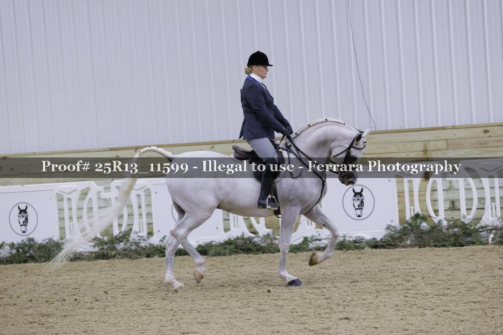 Proof 25R13_11599