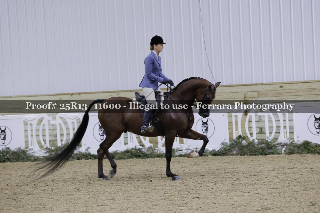 Proof 25R13_11600