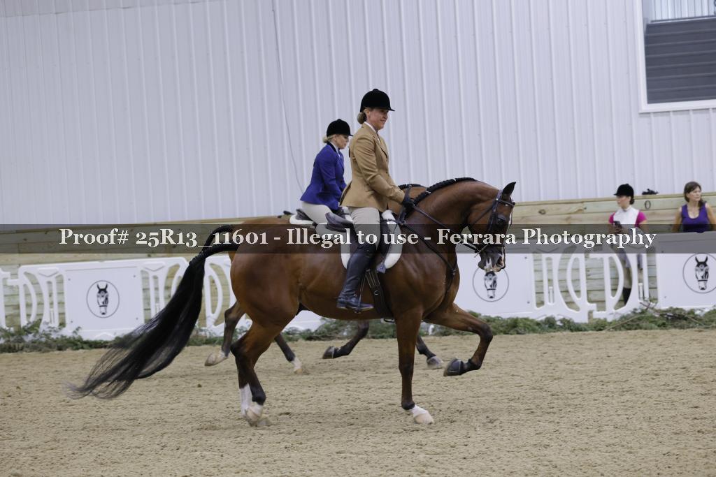 Proof 25R13_11601