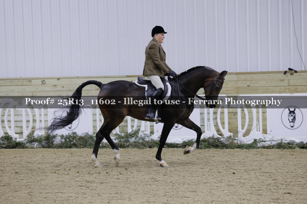 Proof 25R13_11602