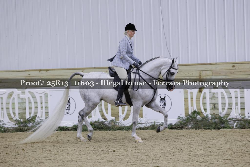 Proof 25R13_11603