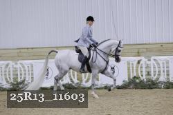25R13_11603 proof