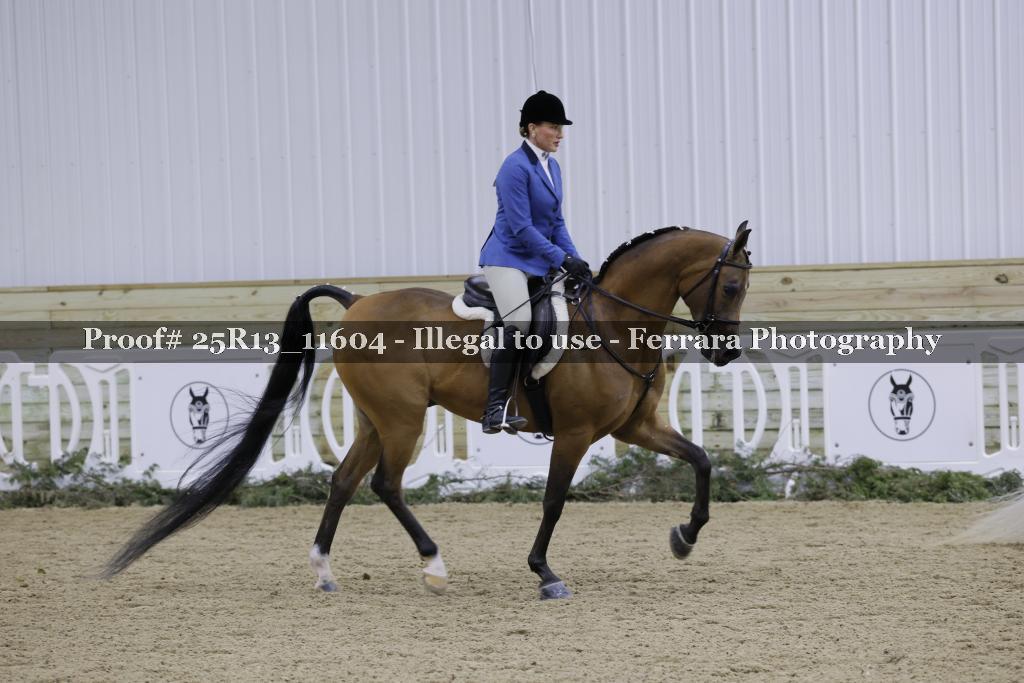 Proof 25R13_11604