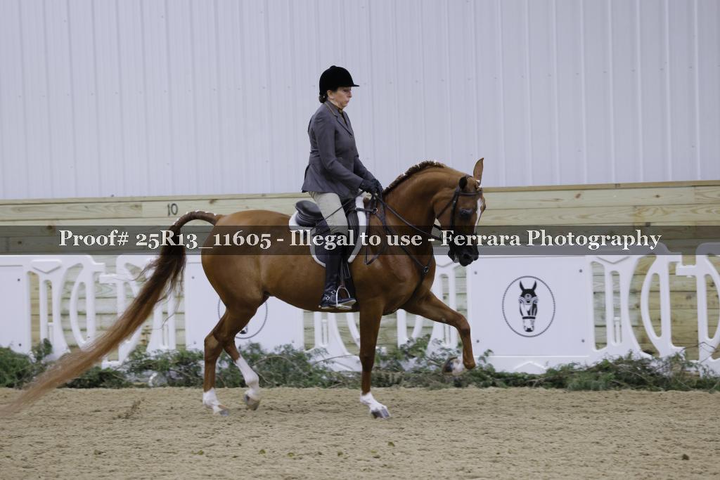 Proof 25R13_11605