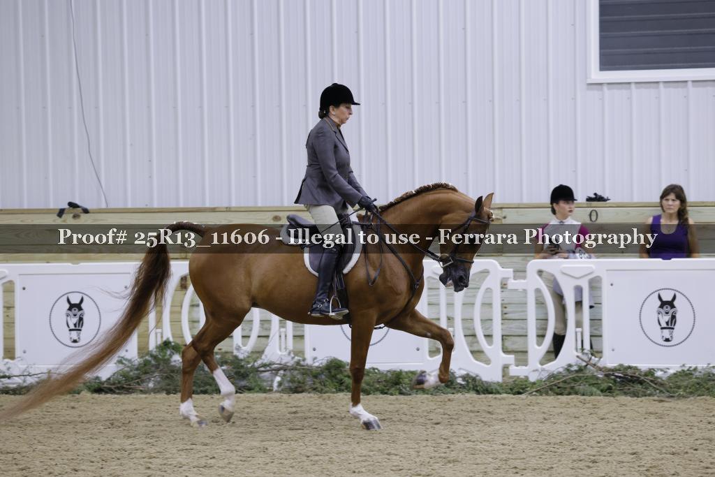 Proof 25R13_11606
