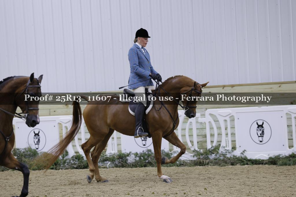 Proof 25R13_11607