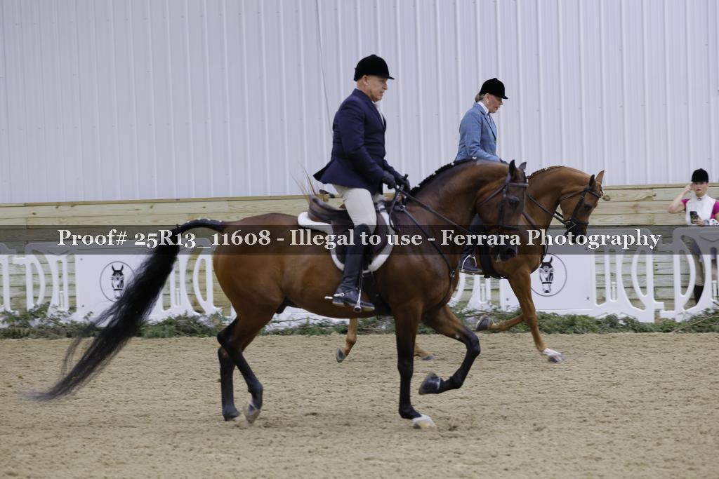 Proof 25R13_11608