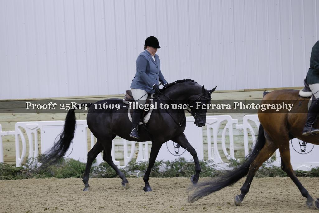 Proof 25R13_11609
