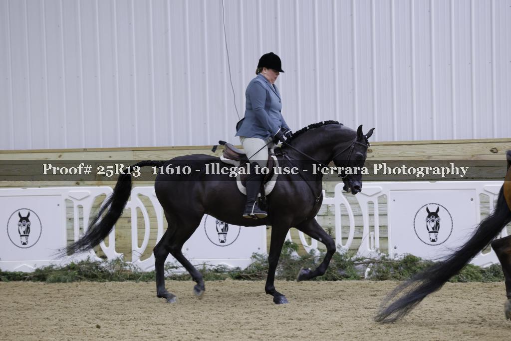 Proof 25R13_11610