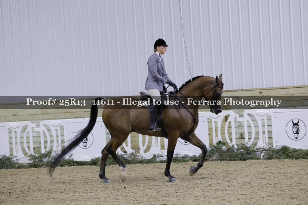 Proof 25R13_11611
