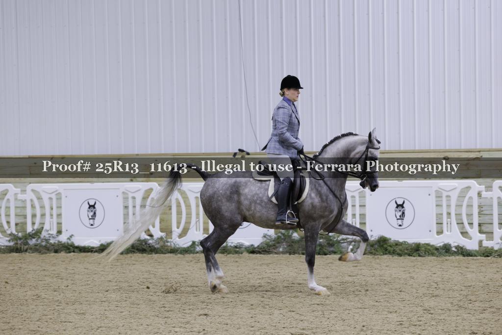 Proof 25R13_11613