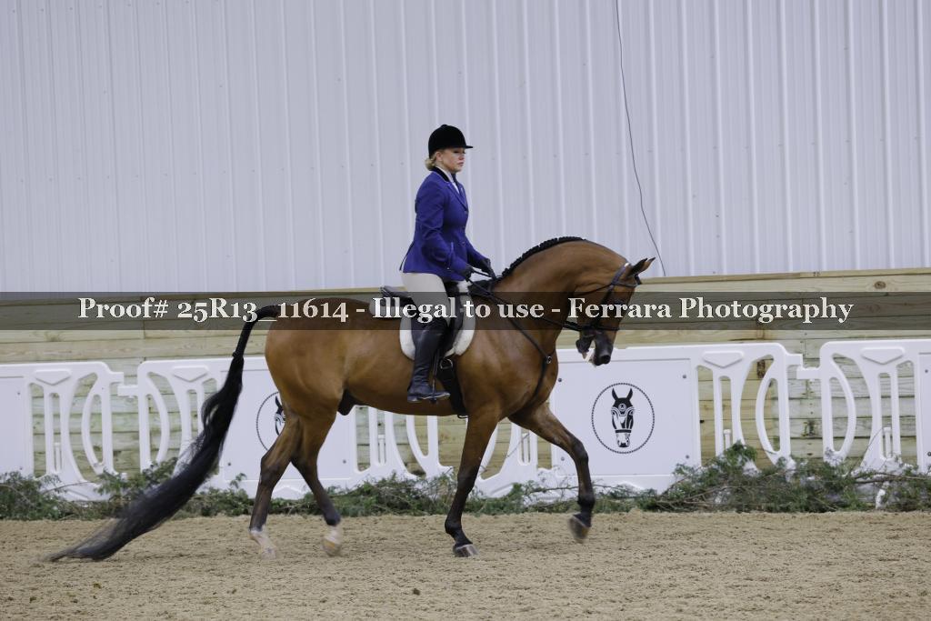 Proof 25R13_11614