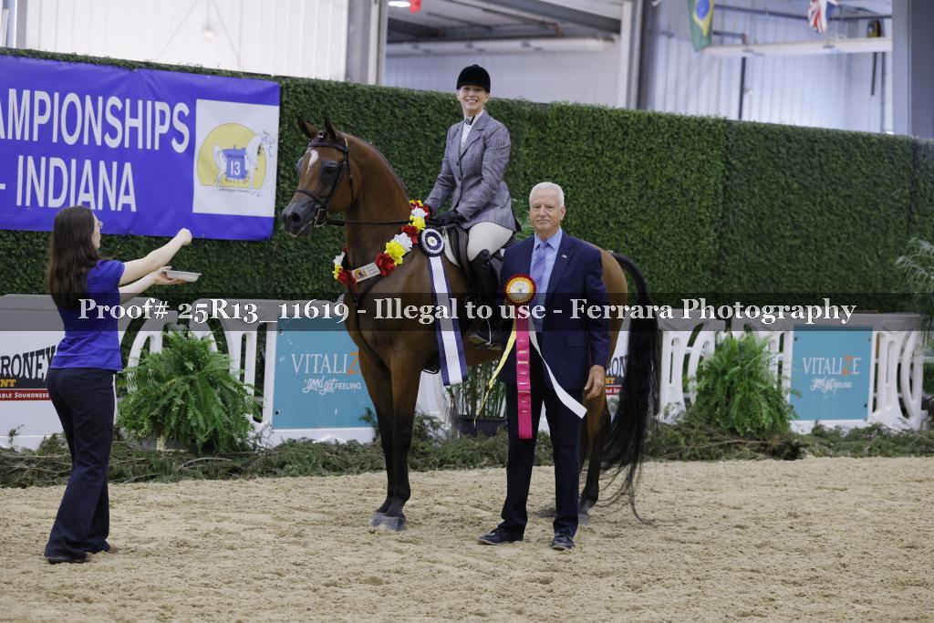 Proof 25R13_11619