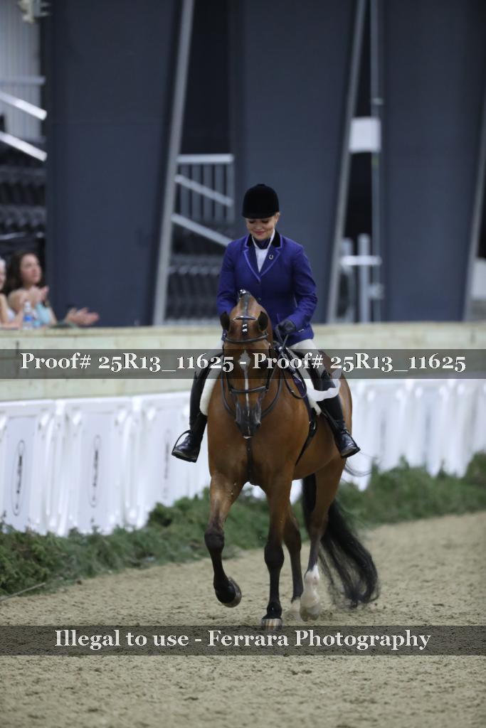 Proof 25R13_11625