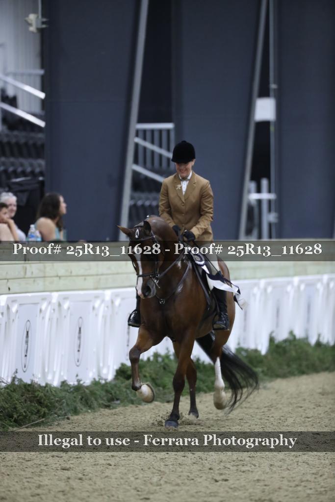 Proof 25R13_11628