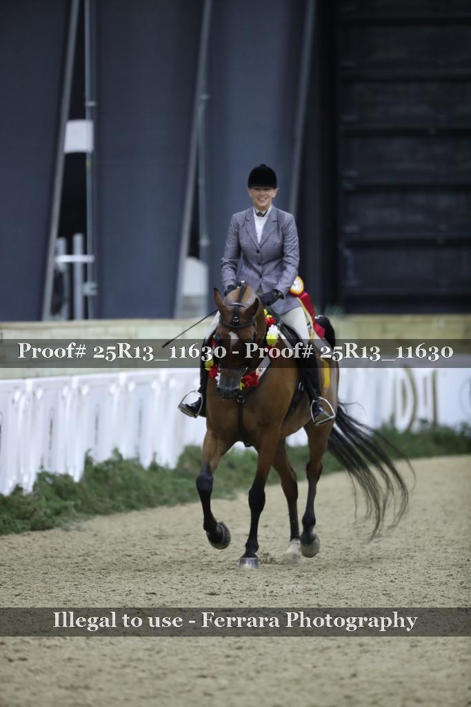 Proof 25R13_11630