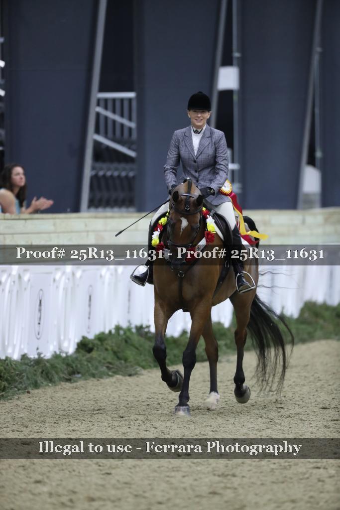 Proof 25R13_11631