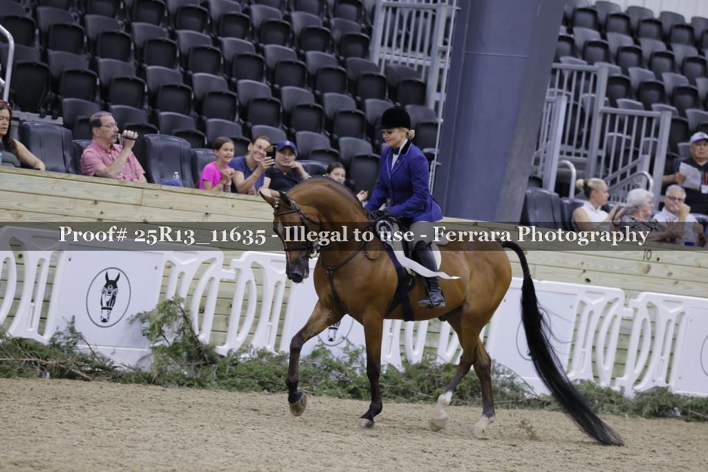 Proof 25R13_11635