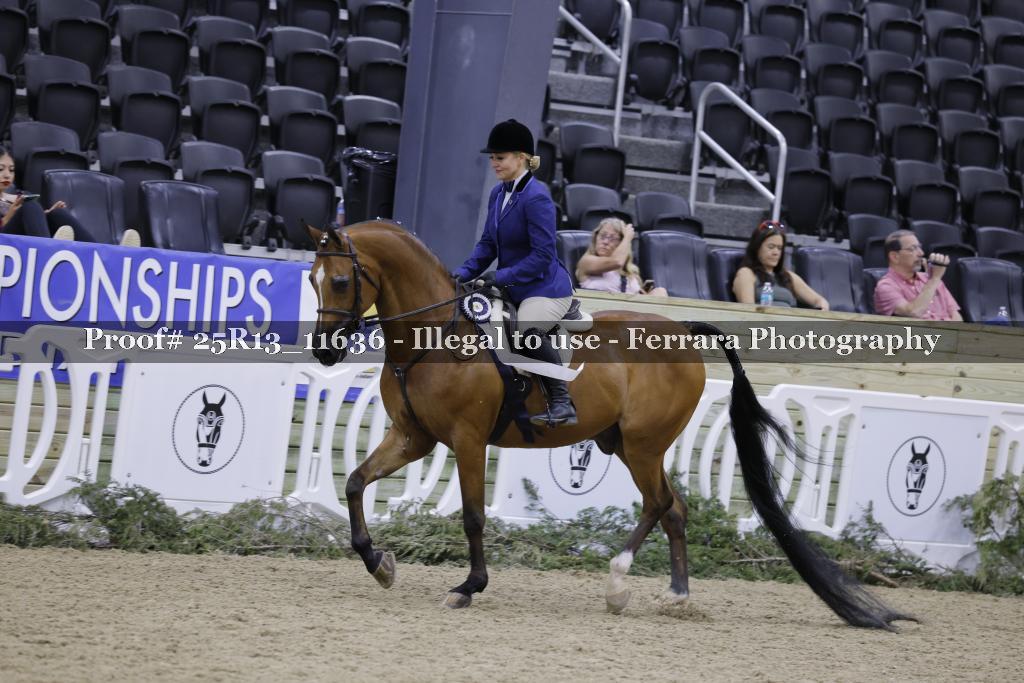 Proof 25R13_11636