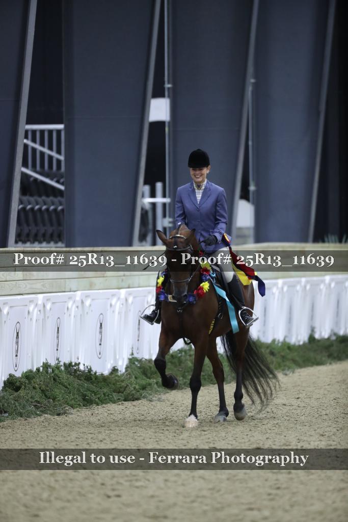 Proof 25R13_11639