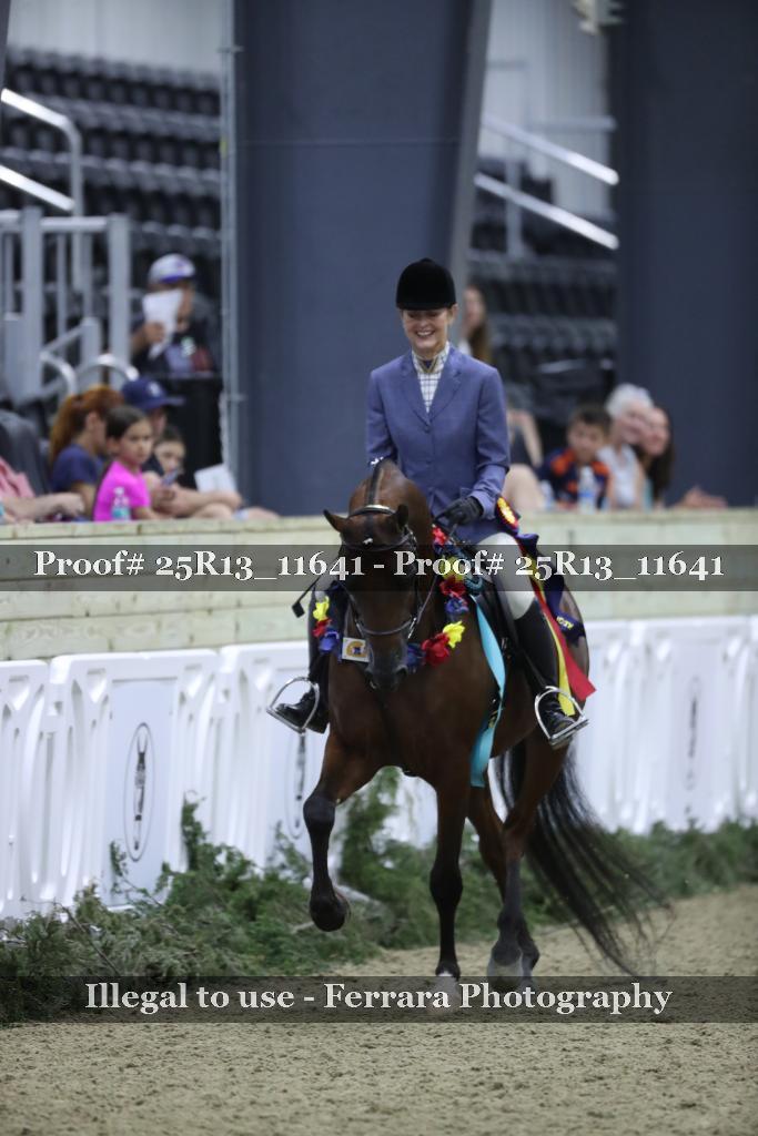 Proof 25R13_11641