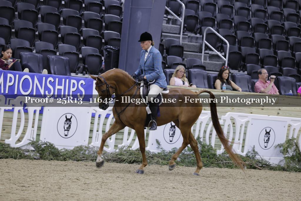 Proof 25R13_11642