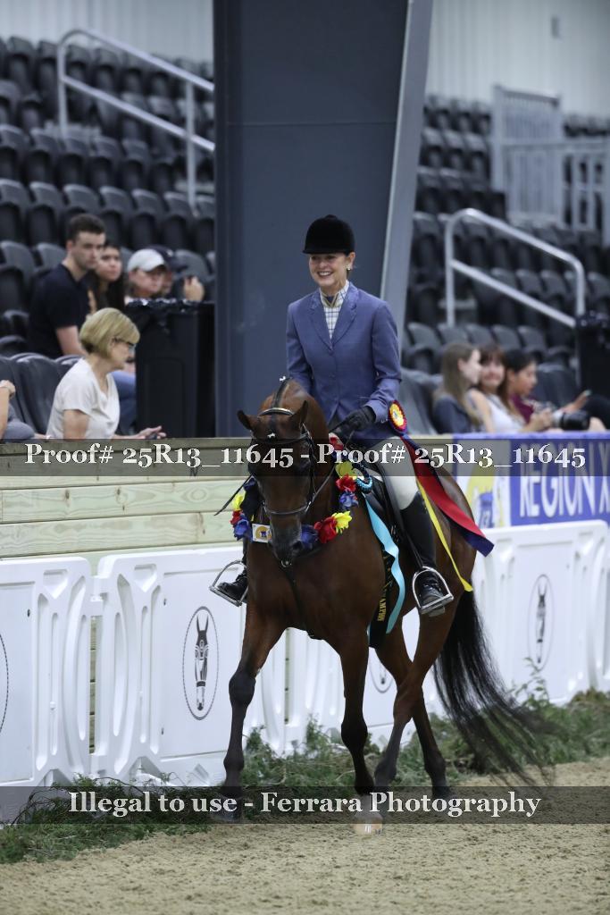 Proof 25R13_11645