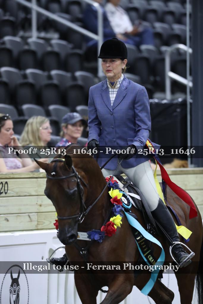 Proof 25R13_11646