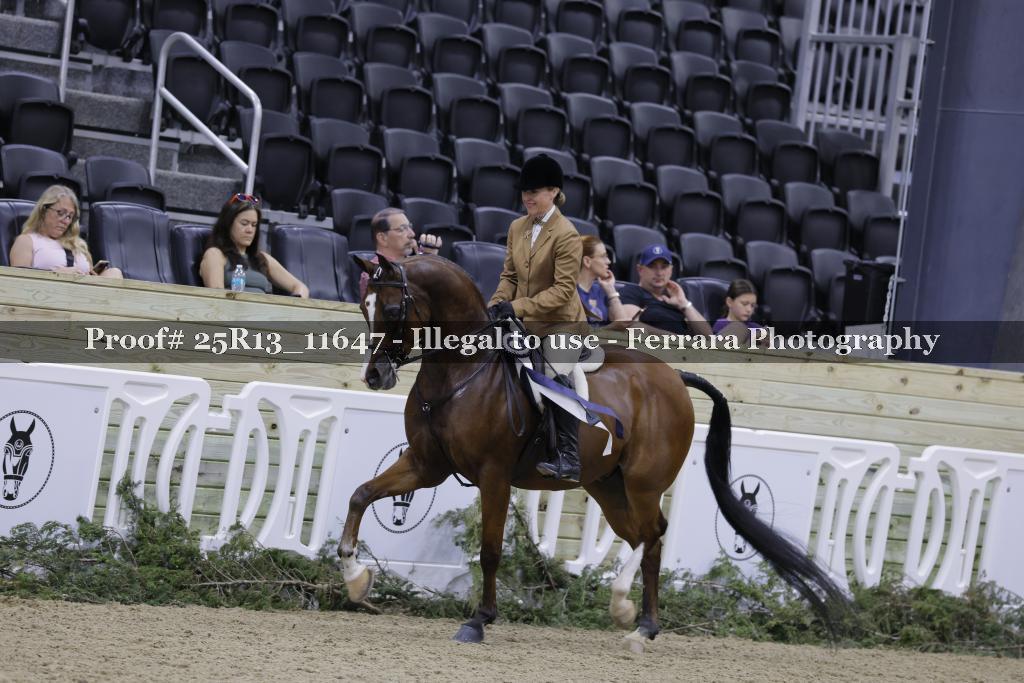 Proof 25R13_11647