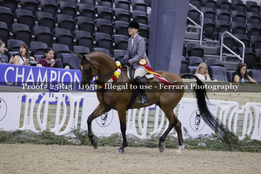 Proof 25R13_11651