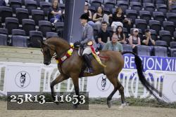 25R13_11653 proof