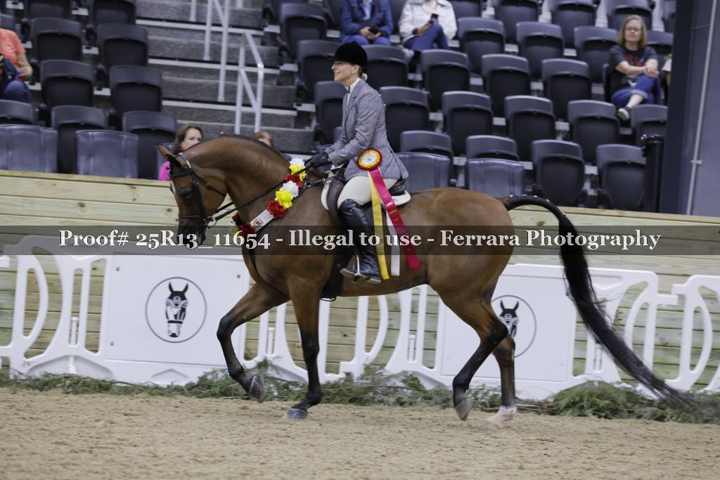 Proof 25R13_11654