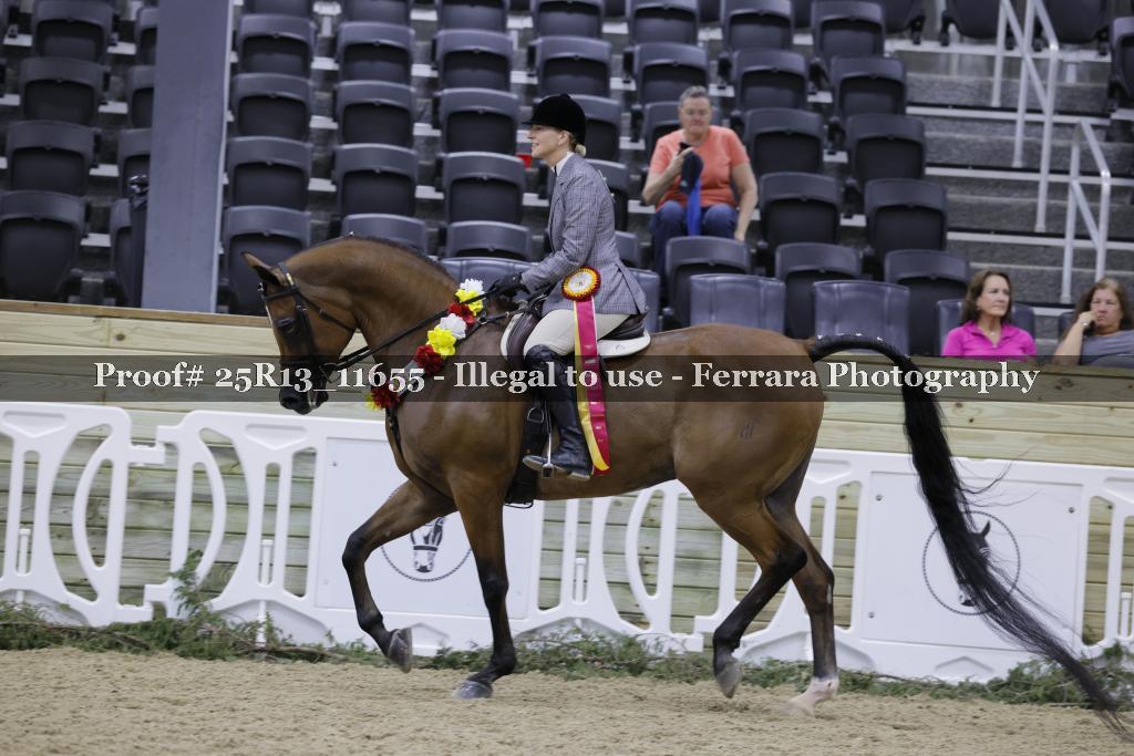 Proof 25R13_11655