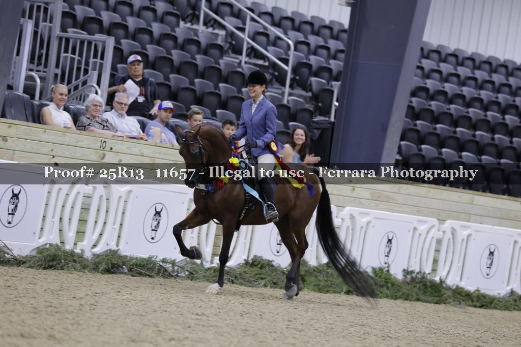 Proof 25R13_11657