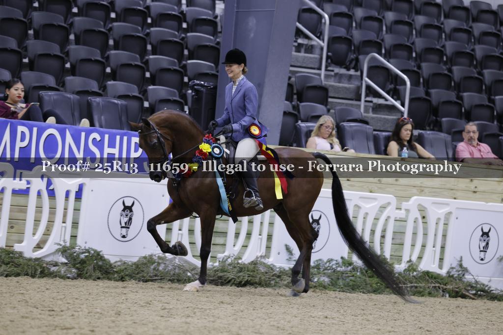 Proof 25R13_11659