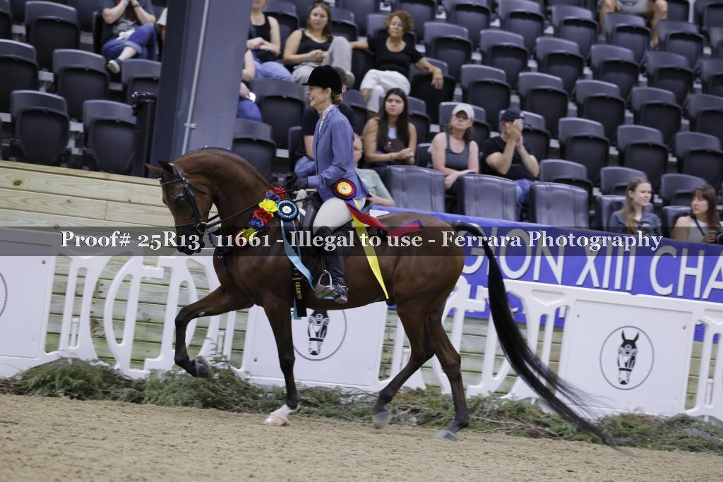 Proof 25R13_11661
