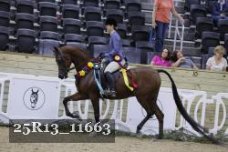 25R13_11663 proof