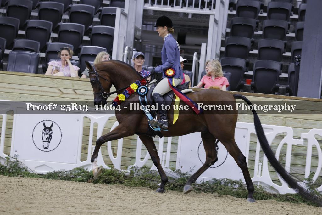 Proof 25R13_11664