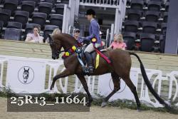 25R13_11664 proof