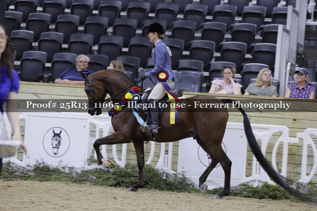 Proof 25R13_11665